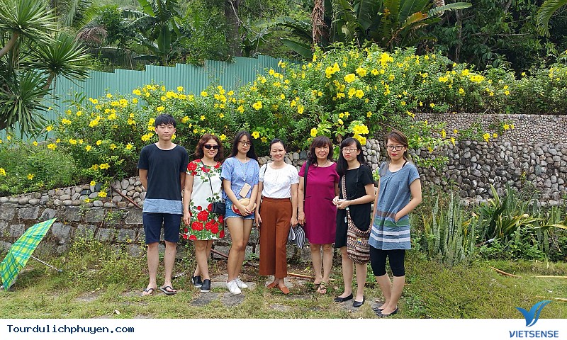 Tour du lịch Hà Nội - Phú Yên - Xứ Hoa Vàng Cỏ Xanh