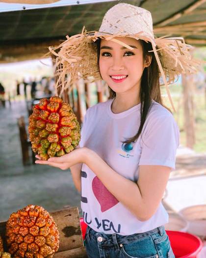 Theo Chân Hoa Hậu Mỹ Linh Khám Phá Những Địa Chỉ Ăn Ngon, Bổ, Rẻ Ở Phú Yên - Ảnh 3 Theo Chân Hoa Hậu Mỹ Linh Khám Phá Những Địa Chỉ Ăn Ngon, Bổ, Rẻ Ở Phú Yên - Ảnh 3