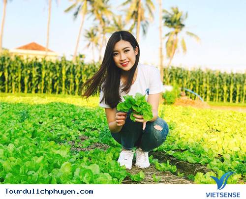 Theo Chân Hoa Hậu Mỹ Linh Khám Phá Những Địa Chỉ Ăn Ngon, Bổ, Rẻ Ở Phú Yên - Ảnh 10 Theo Chân Hoa Hậu Mỹ Linh Khám Phá Những Địa Chỉ Ăn Ngon, Bổ, Rẻ Ở Phú Yên - Ảnh 10