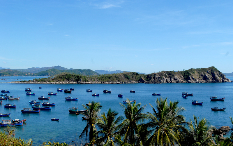 Tất Tật Kinh Nghiệm Khám Phá Phú Yên Mùa Hè - Ảnh 18