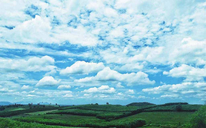 Tất Tật Kinh Nghiệm Khám Phá Phú Yên Mùa Hè - Ảnh 20