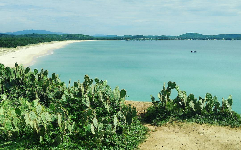 Tất Tật Kinh Nghiệm Khám Phá Phú Yên Mùa Hè - Ảnh 6