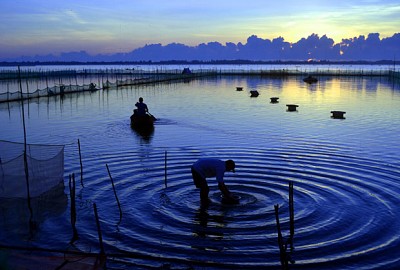 Đầm Ô Loan – Mộng mơ nơi Phú Yên Đầm Ô Loan – Mộng mơ nơi Phú Yên