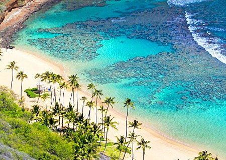 Trải Nghiệm Cù Lao Xanh 2025