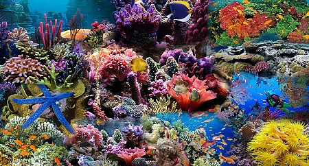 TÂY SƠN - HÒN KHÔ - EO GIÓ - 3 Ngày 2 Đêm