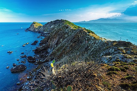 Chương trình Đảo Kỳ Co 1 Ngày