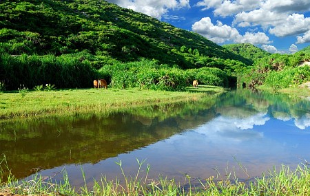 Hành Trình Quy Nhơn - Một Chuyến Đi Hai Điểm Đến Giảm Giá Hàng Tháng