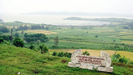 Hành Trình 1 Ngày Khám Phá Xứ Hoa Vàng Cỏ Xanh