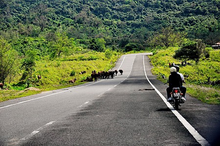 Hà Nội - Phú Yên - Quy Nhơn 4 Ngày GIÁ CỰC SỐC
