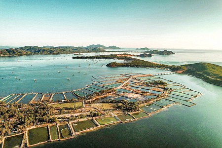 Chương trình Quy Nhơn Phú Yên 30 tháng 4 năm 2025 (VQN40)