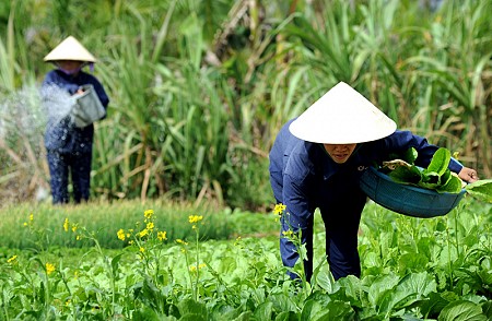 Vietstar Resort & Spa Phú Yên