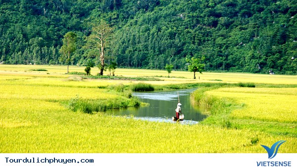 hành trình hè hút khách tại Phú yên - Ảnh 4