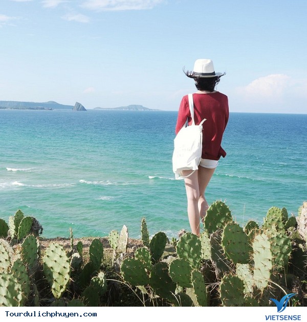 hành trình hè hút khách tại Phú yên - Ảnh 1