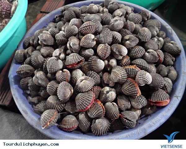 trải nghiệm Phú yên tự túc giá rẻ trong dịp hè - Ảnh 7 hành trình Phú yên tự túc giá rẻ trong dịp hè - Ảnh 7