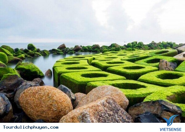 trải nghiệm Phú yên tự túc giá rẻ trong dịp hè - Ảnh 4 hành trình Phú yên tự túc giá rẻ trong dịp hè - Ảnh 4