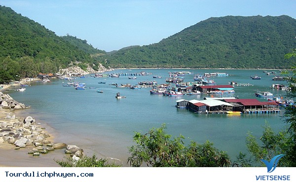 Ngắm Đèo Cả- Vũng Rô Phú Yên - Ảnh 4 Ngắm Đèo Cả- Vũng Rô Phú Yên - Ảnh 4