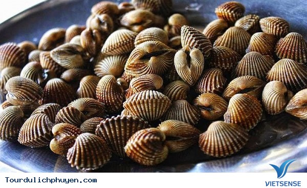 Những điều cần biết khi đi thăm quan Phú Yên giá rẻ - Ảnh 6