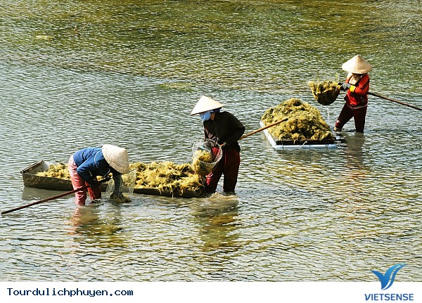 Vẻ đẹp Phú yên qua ống kính của nhiếp ảnh gia - Ảnh 5