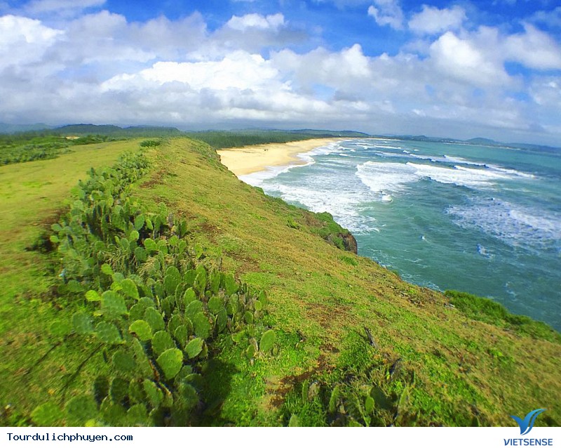 Môi trường hệ sinh thái Phú Yên liệu có bị ảnh hưởng ?