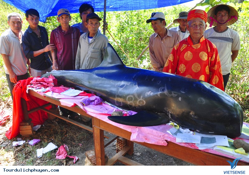 Phú Yên có những thế mạnh gì mà hành trình cộng đồng lại phát triển ? - Ảnh 2