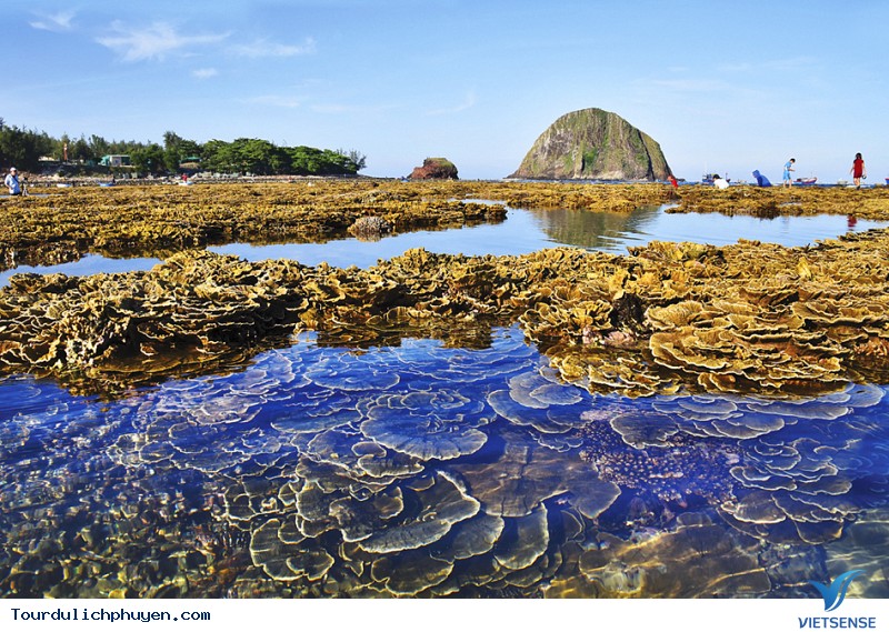 Phú Yên có những thế mạnh gì mà hành trình cộng đồng lại phát triển ? - Ảnh 1