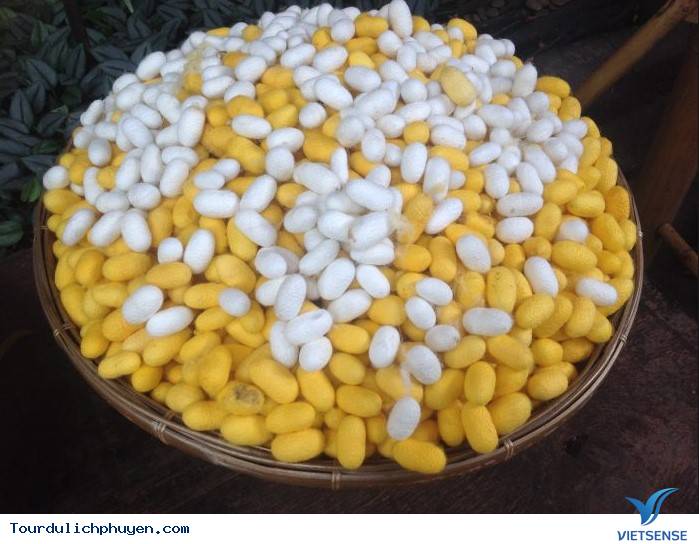 Nguyên liệu đẹp để may áo, không thiếu ở Phú Yên, 2018 - Ảnh 5