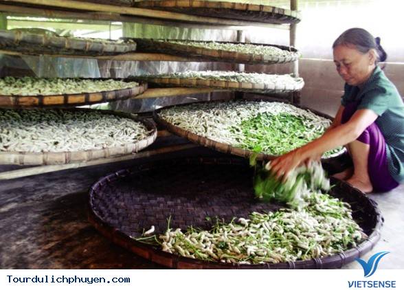 Nguyên liệu đẹp để may áo, không thiếu ở Phú Yên, 2018 - Ảnh 4