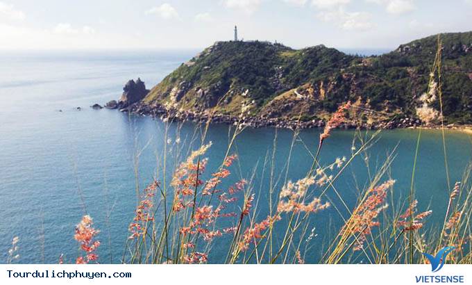 Nguyên liệu đẹp để may áo, không thiếu ở Phú Yên, 2018 - Ảnh 1