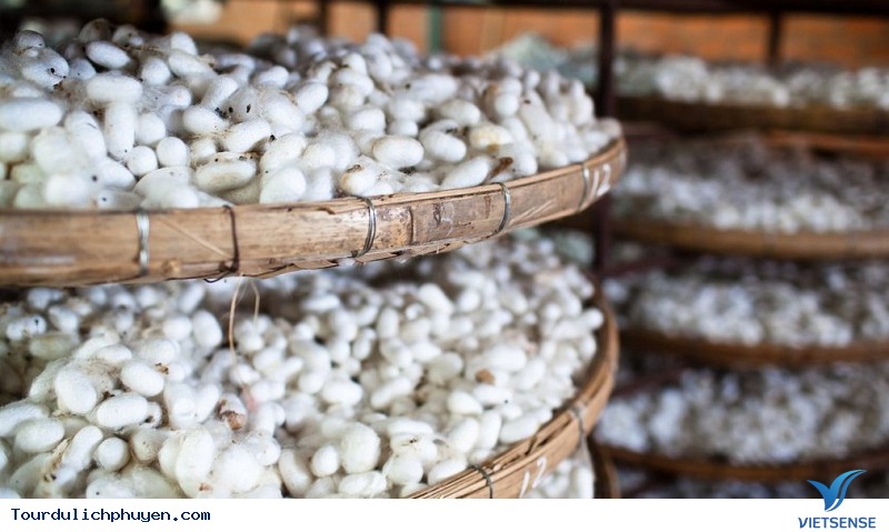 Nguyên liệu đẹp để may áo, không thiếu ở Phú Yên, 2018 - Ảnh 6