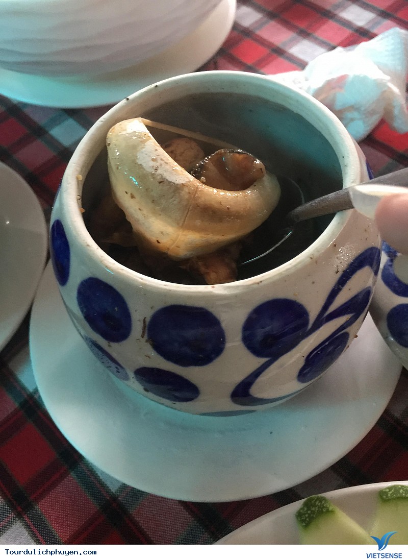 Trầm trồ trước món đèn pha đại dương tại Phú Yên - Ảnh 3