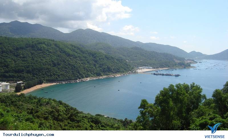 hàu và sò huyết đầm Ô Loan