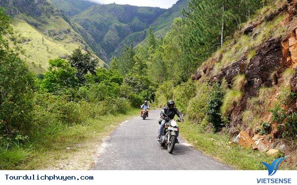 Dành cho “người tình trăm năm”