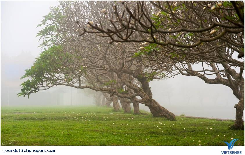 Ấn Tượng Xứ Huế7 Ấn Tượng Xứ Huế