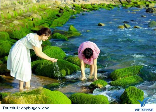 Bãi Xanh Rêu – Xóm Rớ có gì đẹp - Ảnh 1