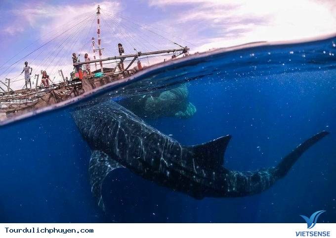 Biển Phú Yên – top 15 ảnh hành trình đẹp nhất thế giới - Ảnh 4