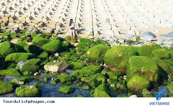 Bờ Kè Xóm Rơ - Màu Xanh Kỳ Diệu Của Tạo Hóa12 Bờ Kè Xóm Rơ - Màu Xanh Kỳ Diệu Của Tạo Hóa