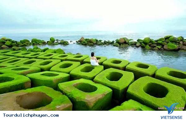 Bờ Kè Xóm Rơ - Màu Xanh Kỳ Diệu Của Tạo Hóa4 Bờ Kè Xóm Rơ - Màu Xanh Kỳ Diệu Của Tạo Hóa