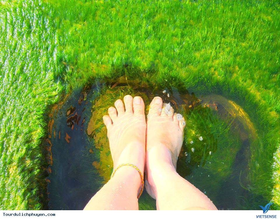 Bờ Kè Xóm Rơ - Màu Xanh Kỳ Diệu Của Tạo Hóa9 Bờ Kè Xóm Rơ - Màu Xanh Kỳ Diệu Của Tạo Hóa