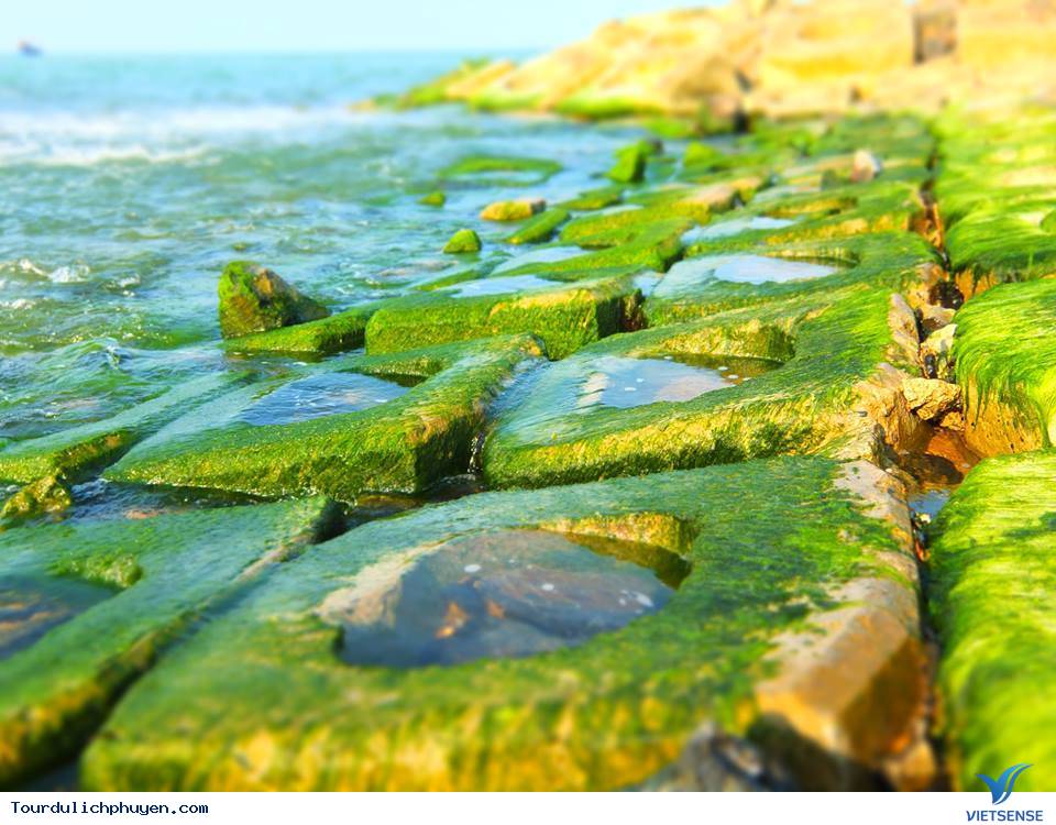 Bờ Kè Xóm Rơ - Màu Xanh Kỳ Diệu Của Tạo Hóa3 Bờ Kè Xóm Rơ - Màu Xanh Kỳ Diệu Của Tạo Hóa