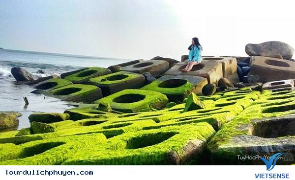 Bờ Kè Xóm Rơ - Màu Xanh Kỳ Diệu Của Tạo Hóa2 Bờ Kè Xóm Rơ - Màu Xanh Kỳ Diệu Của Tạo Hóa