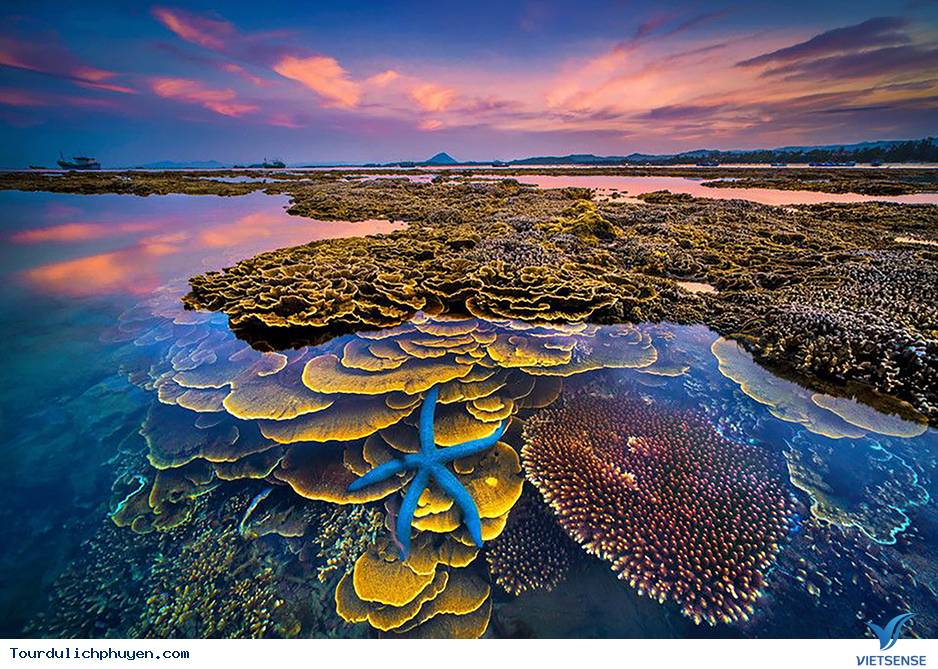 Cách di chuyển tới Hòn Chùa