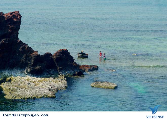 Cận Cảnh Vẻ Đẹp Nên Thơ Của Hòn Yến Giữa Vùng Hoa Vàng Cỏ Xanh - Ảnh 12