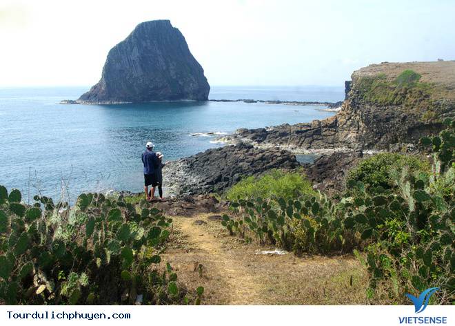 Cận Cảnh Vẻ Đẹp Nên Thơ Của Hòn Yến Giữa Vùng Hoa Vàng Cỏ Xanh - Ảnh 5