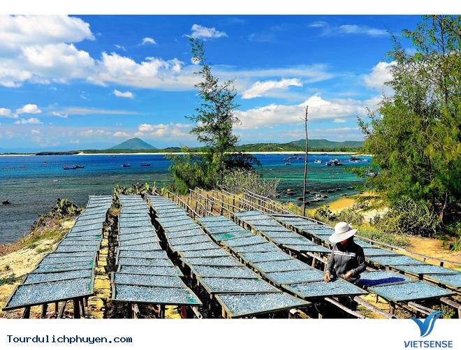 Cận Cảnh Vẻ Đẹp Nên Thơ Của Hòn Yến Giữa Vùng Hoa Vàng Cỏ Xanh - Ảnh 14