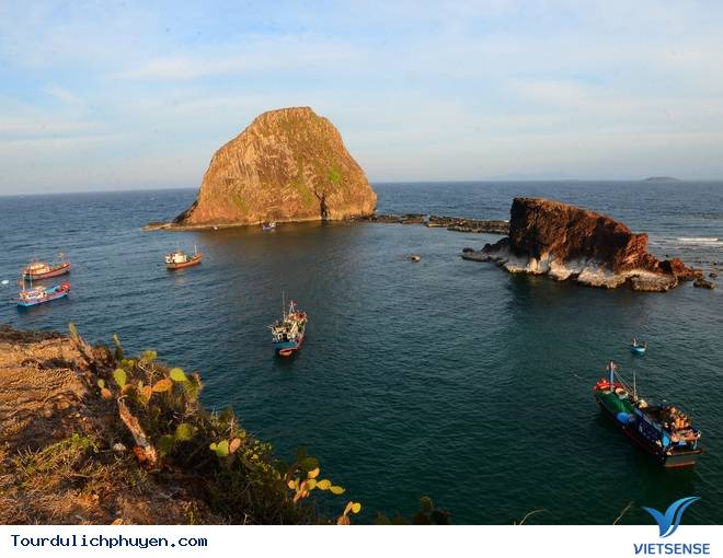 Cận Cảnh Vẻ Đẹp Nên Thơ Của Hòn Yến Giữa Vùng Hoa Vàng Cỏ Xanh - Ảnh 1