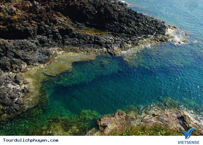 Cận Cảnh Vẻ Đẹp Nên Thơ Của Hòn Yến Giữa Vùng Hoa Vàng Cỏ Xanh - Ảnh 9