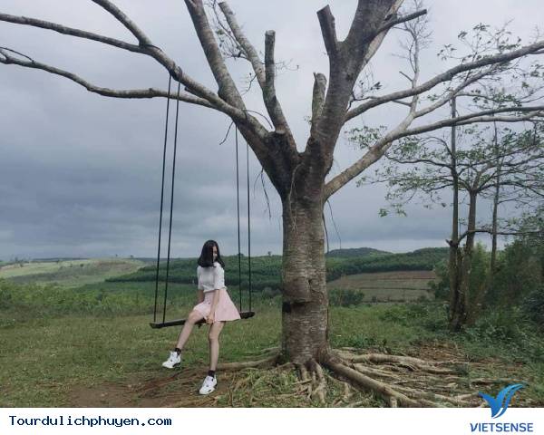 Cao nguyên Vân Hòa có gì chơi?