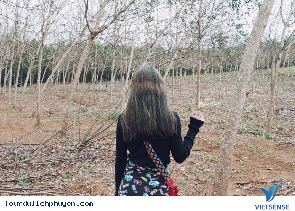 Cách di chuyển tới đây