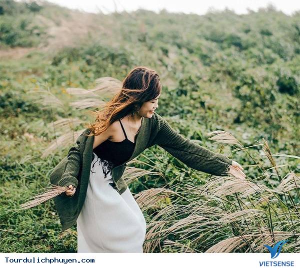 Cao nguyên Vân Hòa ở đâu?