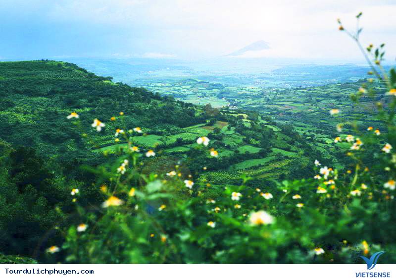 Cao Nguyên Vân Hòa - Ảnh 1